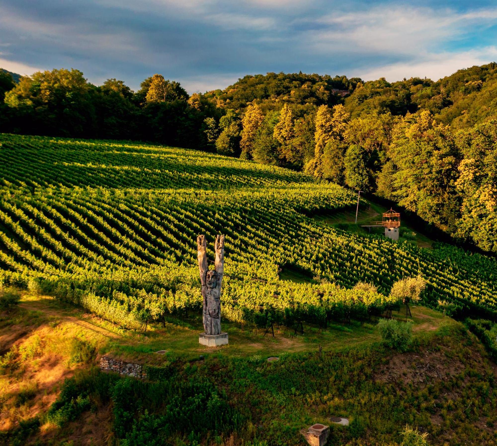 Wine & Art Relais Vallombrosa Castelrotto Extérieur photo