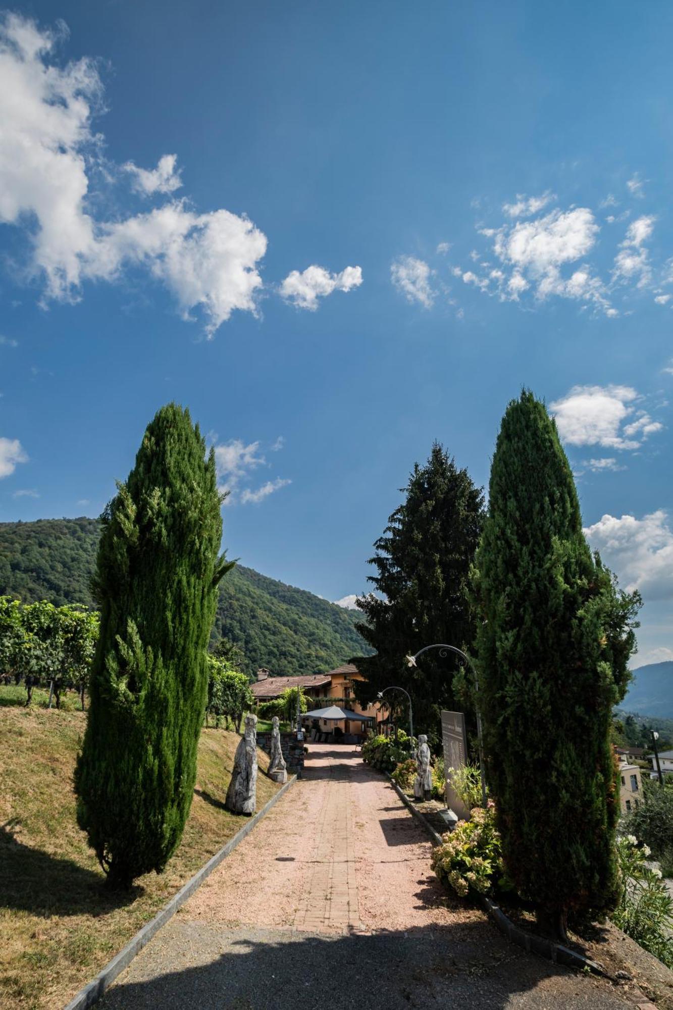 Wine & Art Relais Vallombrosa Castelrotto Extérieur photo