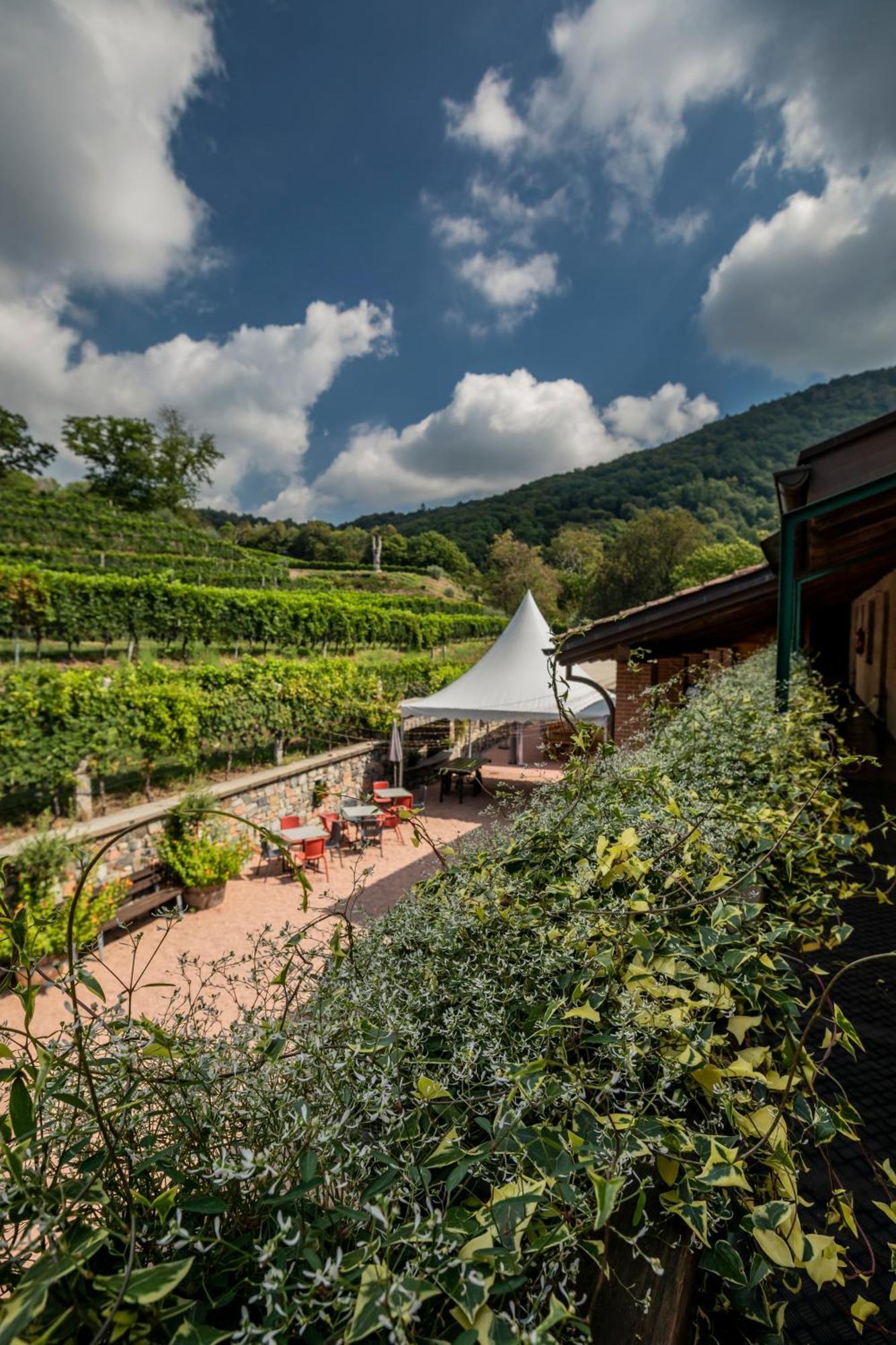 Wine & Art Relais Vallombrosa Castelrotto Extérieur photo