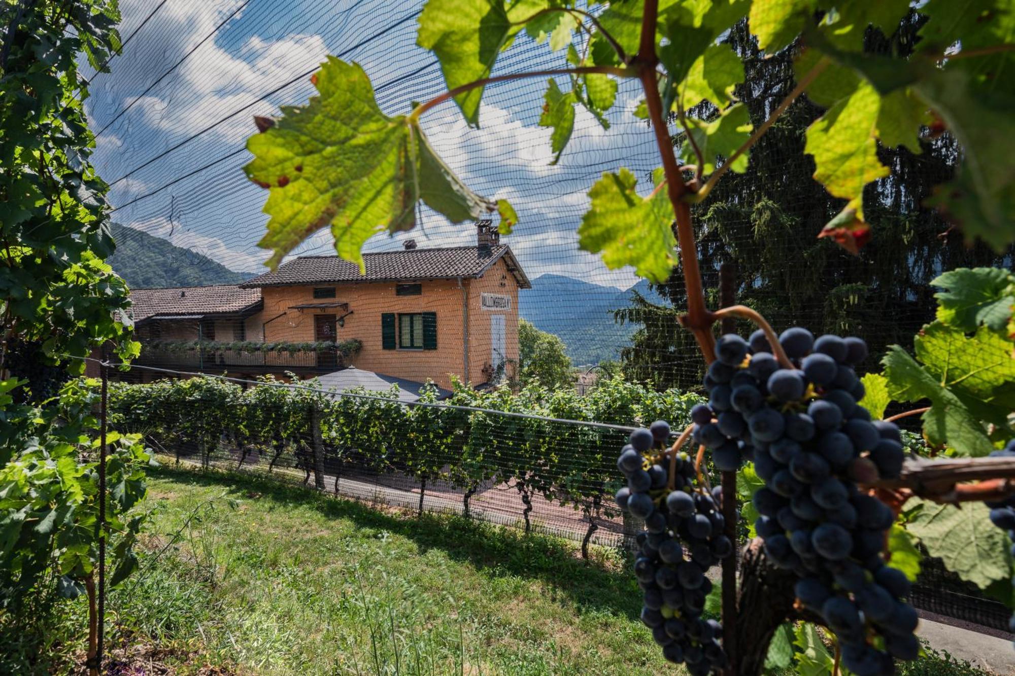 Wine & Art Relais Vallombrosa Castelrotto Extérieur photo