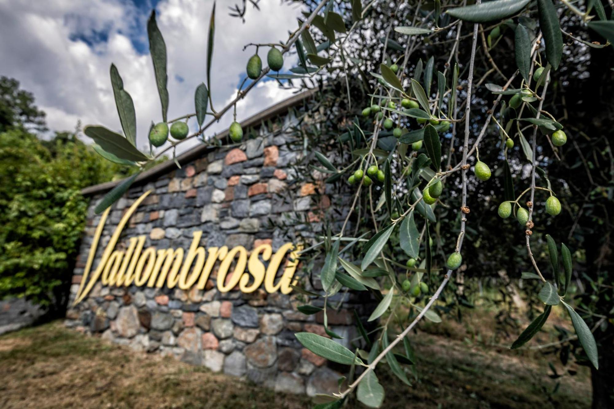 Wine & Art Relais Vallombrosa Castelrotto Extérieur photo