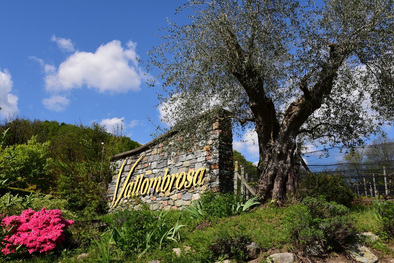 Wine & Art Relais Vallombrosa Castelrotto Extérieur photo